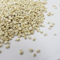 画像3: 【送料無料】 国産 押はだか麦 900g×5袋 うるち性 大麦　 (3)