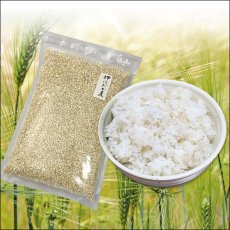 画像4: 【送料無料】 国産 押はだか麦 900g×5袋 うるち性 大麦　 (4)