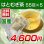 画像1: 【送料無料】富山県産 はとむぎ茶 55包×5袋　 (1)