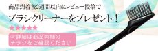 画像9: ヒートブラシ ストレート ヘアアイロン ブラシ ピンク SALOPUR サロピュール ストレートアイロン カール 2way マイナスイオン MCHヒーター搭載 温度ロック機能 (9)