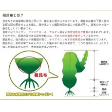 画像8: 【送料無料】根昆布だし ねこぶだし 1L×3本セット ねこんぶ  だし こぶだし 北海道万能根昆布だし 日高昆布 (8)