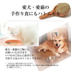 画像4: 【メール便送料無料】富山県産　焙煎はとむぎ粉　全粒粉 皮もまるごと ヨクイニン ハトムギ 330g (4)