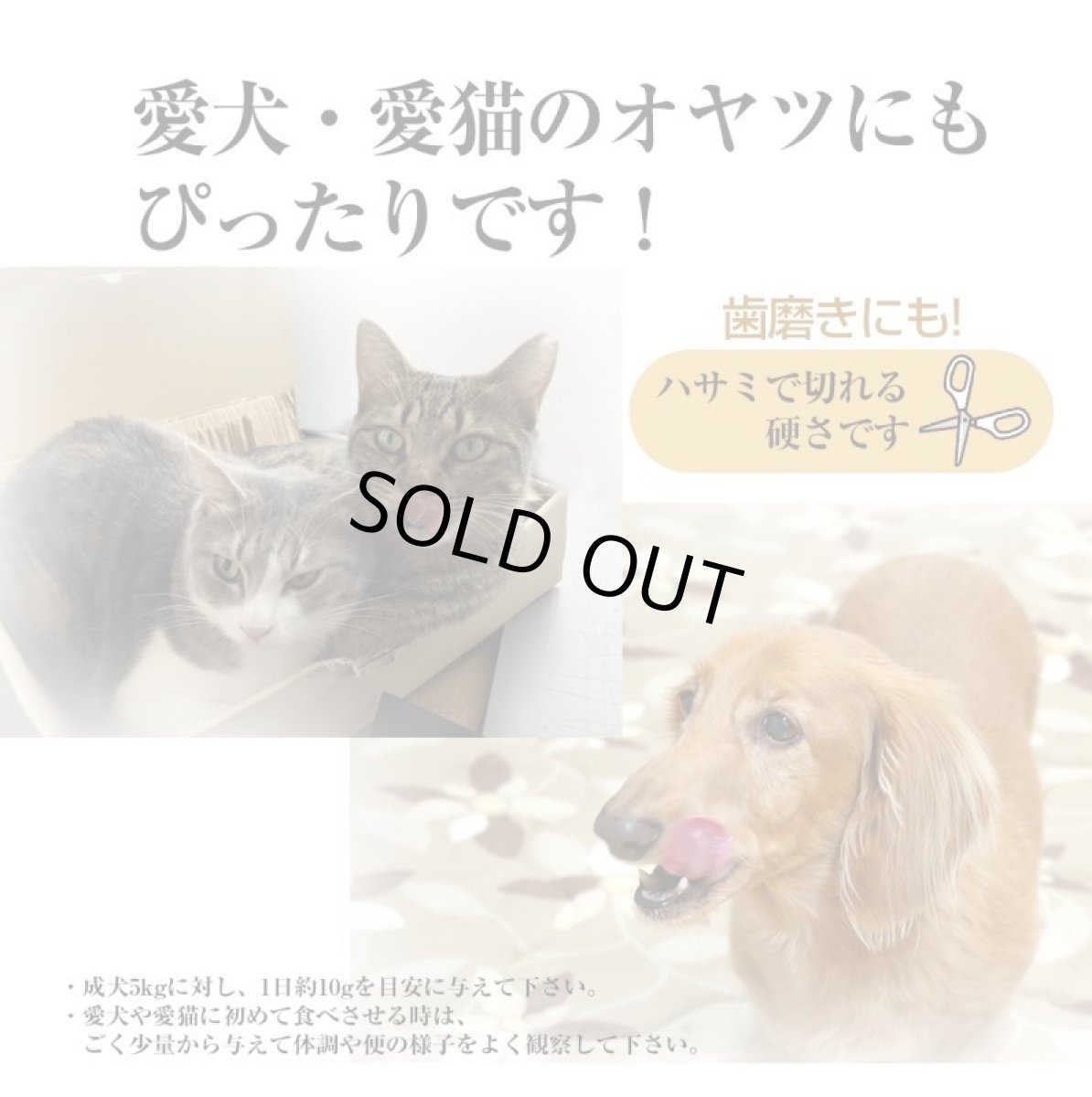 画像7: 卸販売 業務用 原料の仕入れにも 干しダラ 国内産 干しだら 200gｘ25袋 むしり鱈 ほしだら 送料無料 (7)