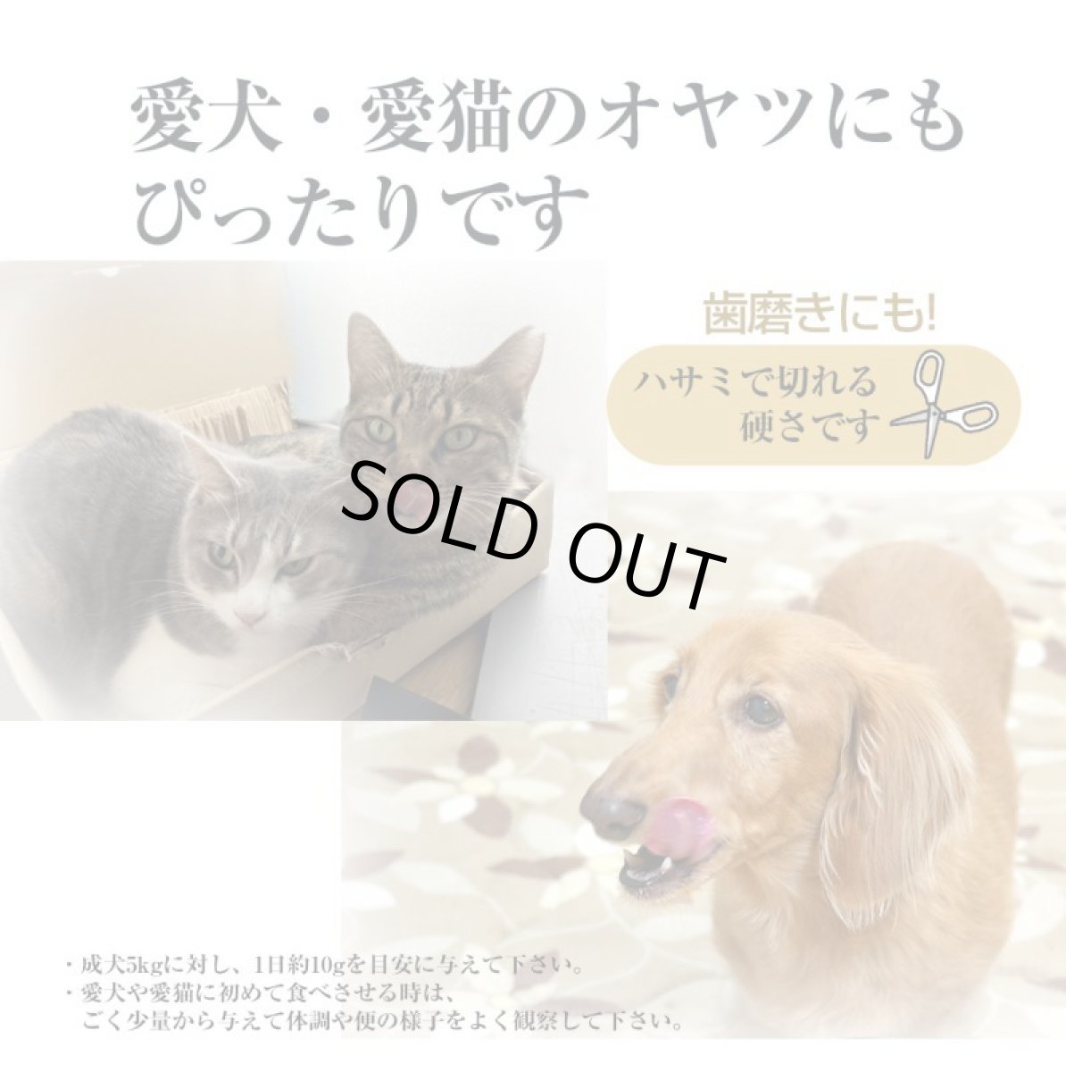 画像6: 【国産 無添加】ほぐしタラ 40g 犬用 犬 おやつ タラ ほぐしたら ほしだら 干しダラ ペット おやつ ペット 猫用 犬 猫 低カロリー 鱈 たら タラ 魚 ドッグフード おやつ 高タンパク 高たんぱく 低脂質ペットおやつ 無着色【メール便送料無料】 (6)