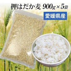 画像1: 【送料無料】 国産 押はだか麦 900g×5袋 うるち性 大麦　 (1)
