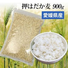 画像1: 【メール便送料無料】 国産 押はだか麦 900g  うるち性 (1)