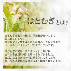 画像4: 富山産 生はとむぎ粉 400g 非焙煎 ハトムギ粉 純白 無添加 国産  自作 化粧水 粉シャンプー パック ハトムギ粉末 焙煎してない ヨクイニン末 はとむぎブランド あきしずく100％使用【メール便送料無料】 (4)