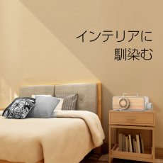 画像2: メーカー公式 布団乾燥機 ふとん乾燥機 布団ドライヤー FTDR001 衣類乾燥機 靴乾燥機 ダニ対策 (2)