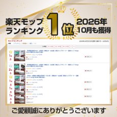 画像2: 【１０月末頃発送予定】メーカー公式 Orage M200 S ブラウン【2026新モデル】【1年保証】電動モップ 回転 モップクリーナー 水拭き コードレス 床掃除 M200S ｍ200【北海道沖縄以外送料無料】 (2)