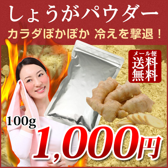 しょうがパウダー 100g