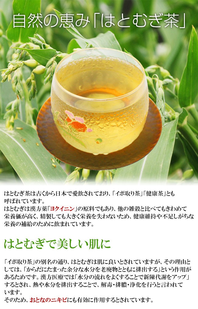 国産はとむぎ茶